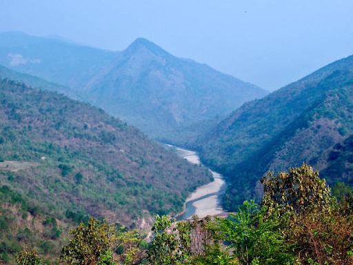 Musk Deer in Kishtwar National Park